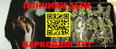 apvp Новозыбков